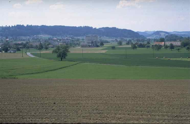 43.jpg