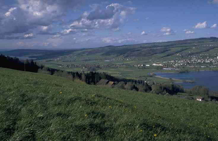 54.jpg