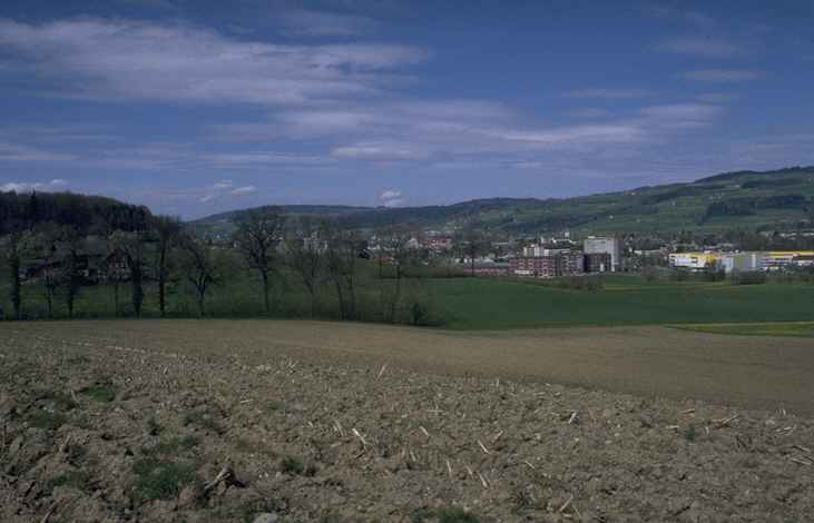 48.jpg