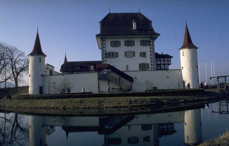 85.jpg
